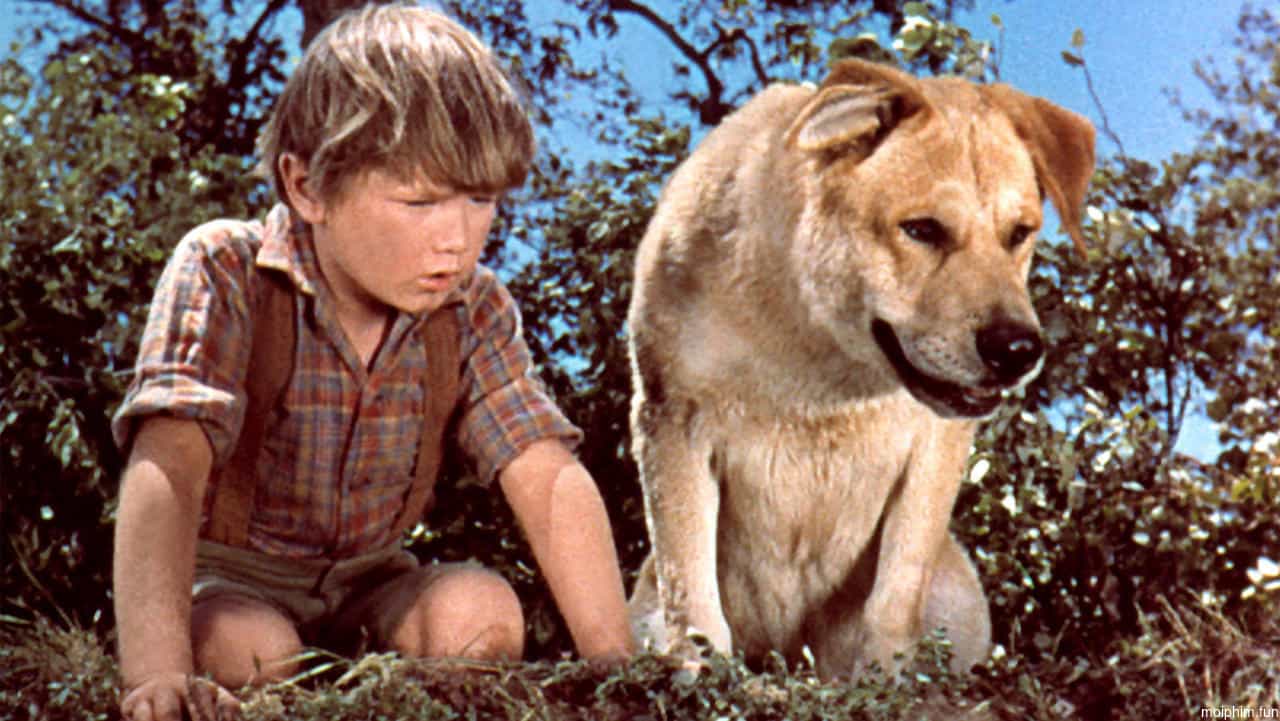 Old Yeller
