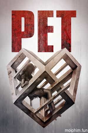 Pet