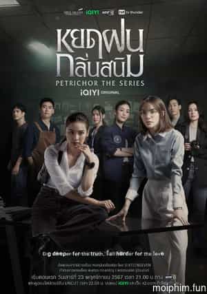 Petrichor: Giọt Mưa Mang Mùi Rỉ Sét