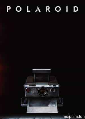 Polaroid