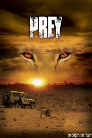Preyy