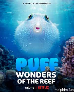 Puff: Rạn san hô kỳ diệu