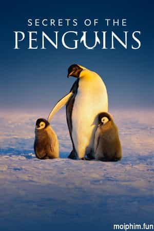 Secrets of the Penguins (Secrets of the Penguins) [2025]