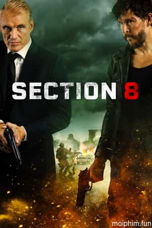 Section 8