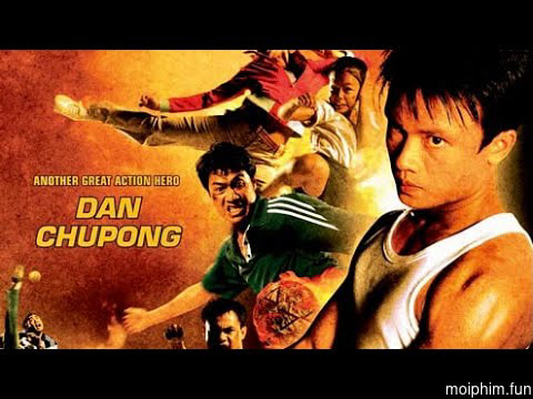 Sinh Ra Để Chiến Đấu
