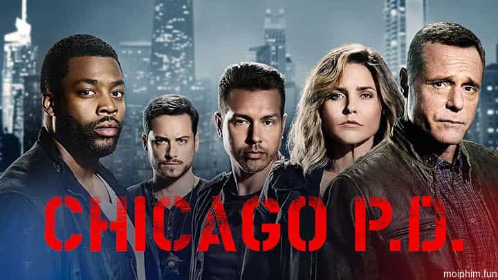 Sở Cảnh Sát Chicago (Phần 5)