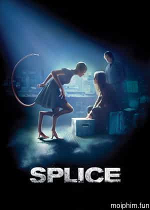 Splice
