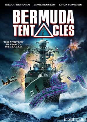 Tam Giác Quỷ Bermuda