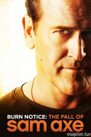 Thất Bại Của Sam Axe