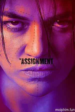 The Assignment