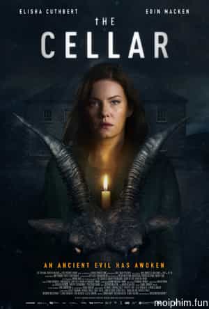 The Cellar