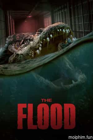 The Flood