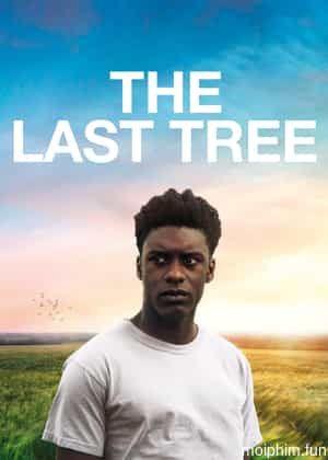 The Last Tree