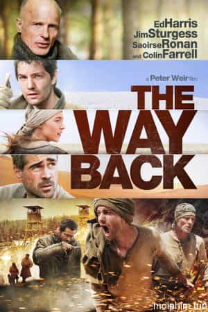 The Way Back