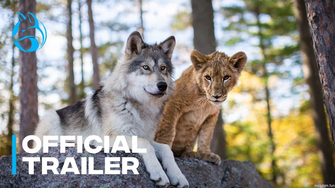 The Wolf and the Lion
