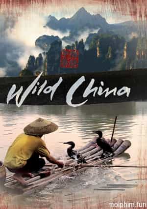 Thiên Nhiên Hoang Dã Trung Quốc