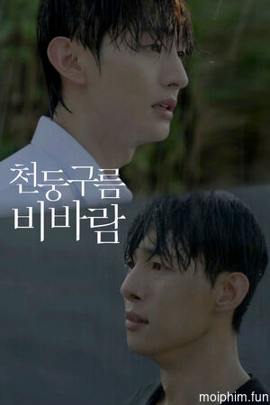 Thundercloud Rainstorm (Thundercloud Rainstorm) [2025]