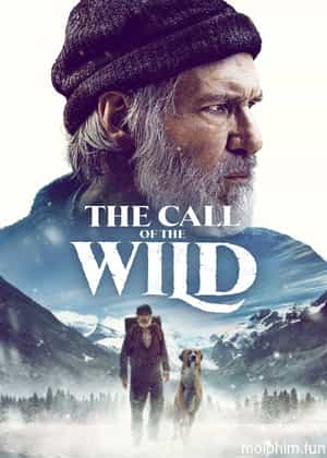 Tiếng Gọi Nơi Hoang Dã (The Call of the Wild) [2020]