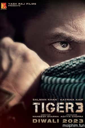 Tiger 3 (Tiger 3) [2023]