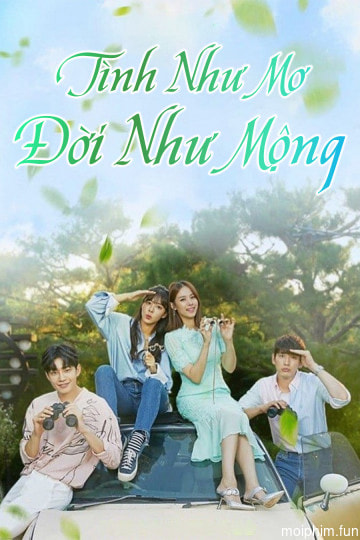 Tình Như Mơ Đời Như Mộng