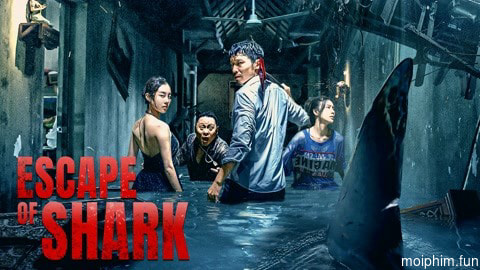 Trốn Chạy Khỏi Cá Mập