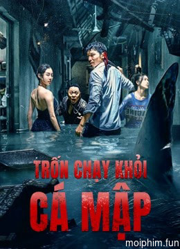 Trốn Chạy Khỏi Cá Mập