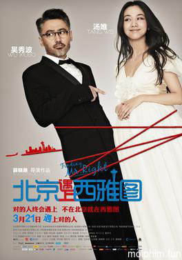 Truy tìm người hoàn hảo (Finding Mr. Right) [2013]