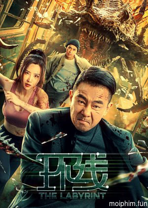 Tuyến Đường Vòng