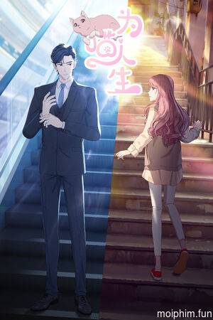 Vì Miêu Nhân Sinh (Reborn as a Cat) [2025]