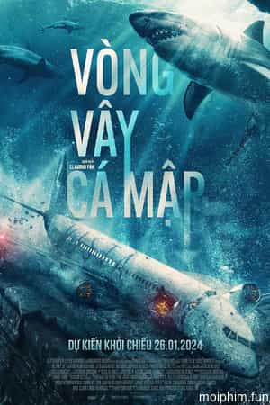 Vòng Vây Cá Mập
