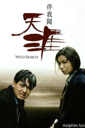 Wild Search