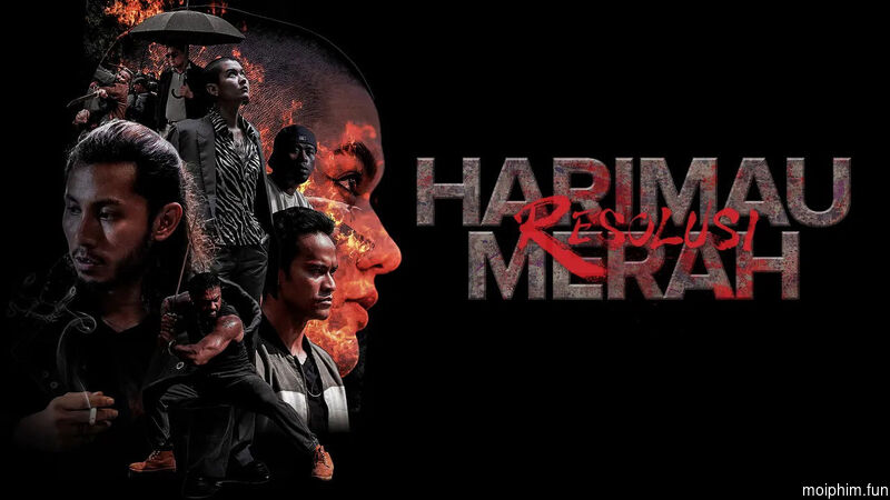 Xích Hổ: Quyết Chí