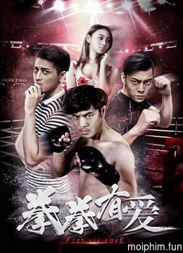 Yêu Boxer