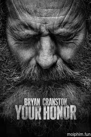Your Honor (Phần 2)